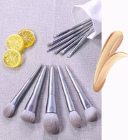 Luxury Silver Wooden Handle Fiber Hair Makeup Brush Set for Beginners